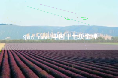 东平中国十七块金牌
