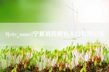 东平宁夏消防报名入口官网公告