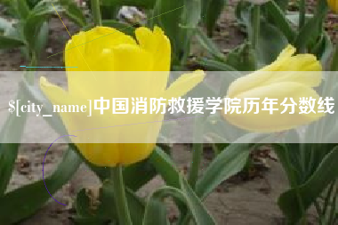 东平中国消防救援学院历年分数线