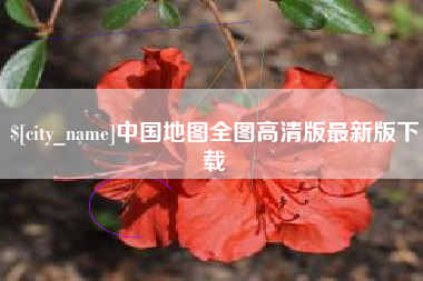 东平中国地图全图高清版最新版下载