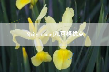 东平九宫格优点