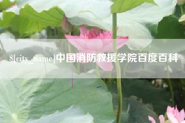 东平中国消防救援学院百度百科