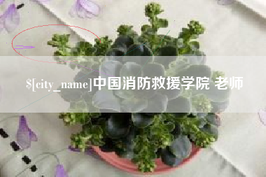 东平中国消防救援学院 老师