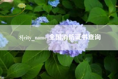东平全国消防证书查询