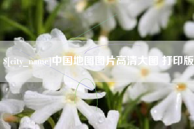 东平中国地图图片高清大图 打印版