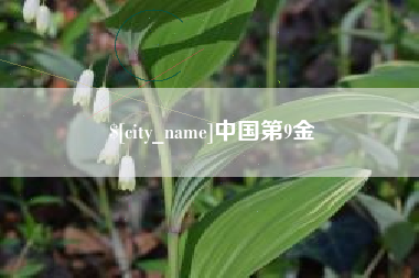 东平中国第9金