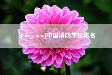 东平中国消防学校排名