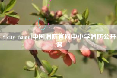 东平中国消防官网中小学消防公开课