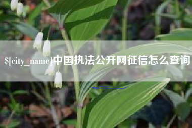 东平中国执法公开网征信怎么查询