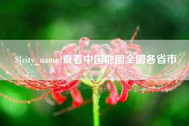 东平查看中国地图全图各省市