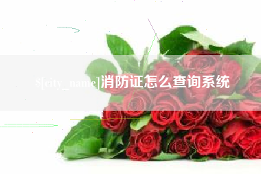 东平消防证怎么查询系统