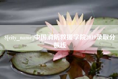 东平中国消防救援学院2019录取分数线