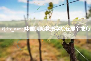 东平中国消防救援学院在那个地方