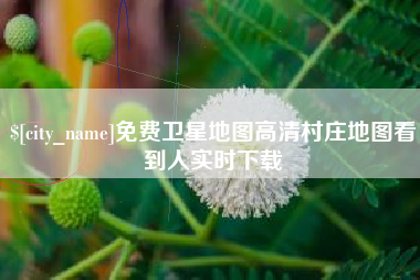 东平免费卫星地图高清村庄地图看到人实时下载