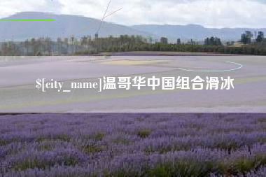 东平温哥华中国组合滑冰