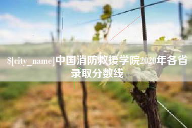 东平中国消防救援学院2020年各省录取分数线