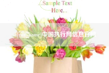 东平中国执行网信息官网