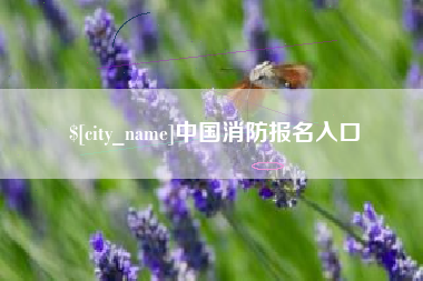 东平中国消防报名入口