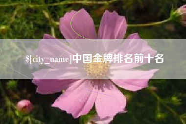 东平中国金牌排名前十名