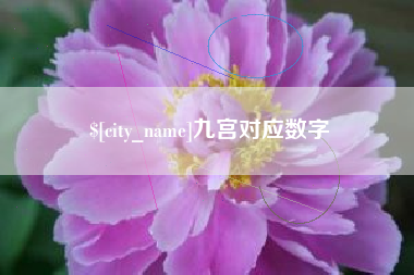 东平九宫对应数字