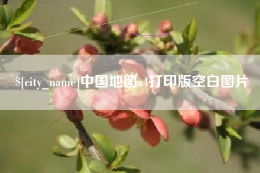 东平中国地图a4打印版空白图片