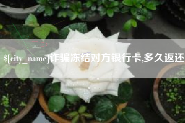 东平诈骗冻结对方银行卡,多久返还