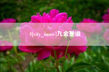 东平九金是谁