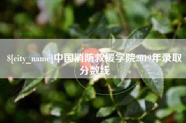 东平中国消防救援学院2019年录取分数线