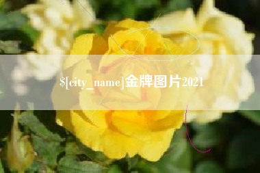 东平金牌图片2021