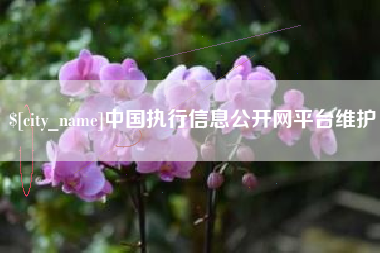 东平中国执行信息公开网平台维护