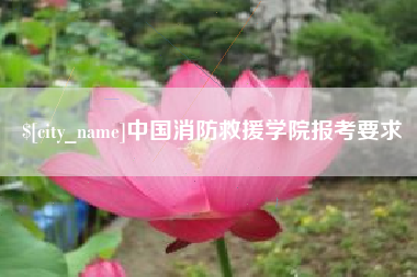 东平中国消防救援学院报考要求