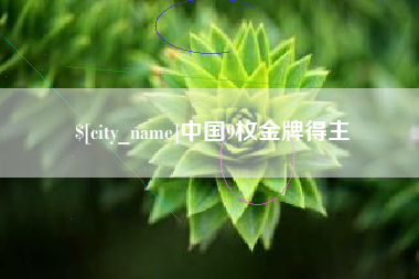 东平中国9枚金牌得主