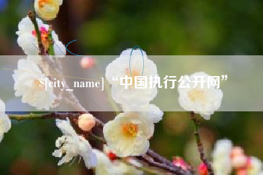 东平“中国执行公开网”