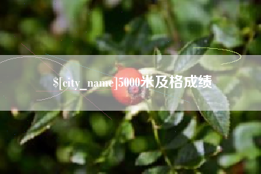 东平5000米及格成绩