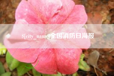 东平全国消防日海报