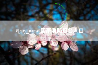 东平国家消防报名入口