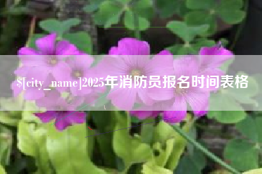 东平2025年消防员报名时间表格