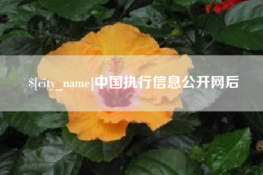 东平中国执行信息公开网后