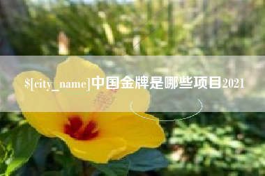 东平中国金牌是哪些项目2021