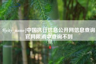 东平中国执行信息公开网信息查询官网限消中查询不到