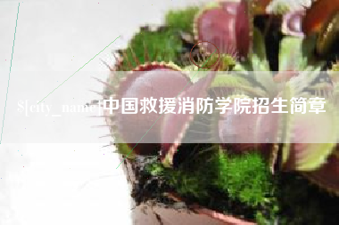 东平中国救援消防学院招生简章