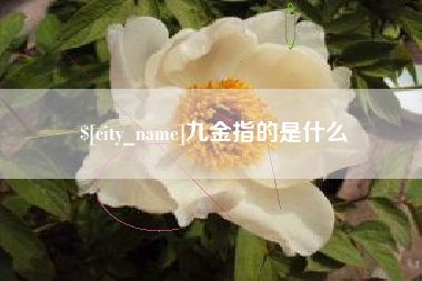 东平九金指的是什么