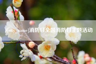东平消防日全国消防日主题活动