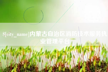 东平内蒙古自治区消防技术服务执业管理平台