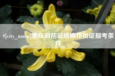 东平重庆消防设施操作员证报考条件
