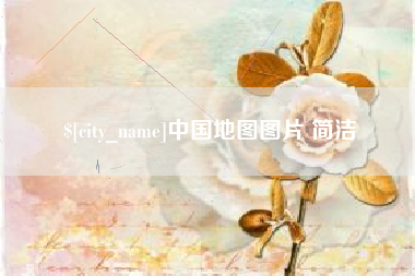 东平中国地图图片 简洁