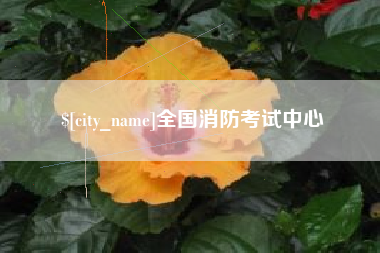 东平全国消防考试中心