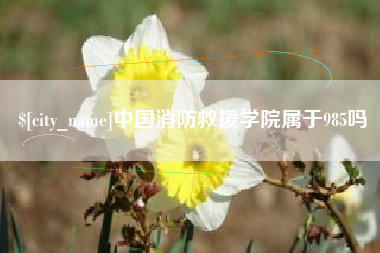 东平中国消防救援学院属于985吗