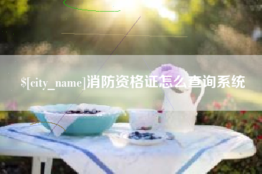 东平消防资格证怎么查询系统