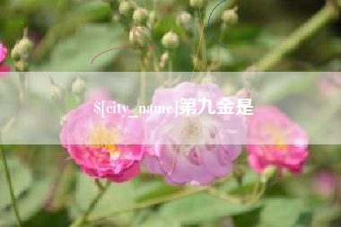 东平第九金是